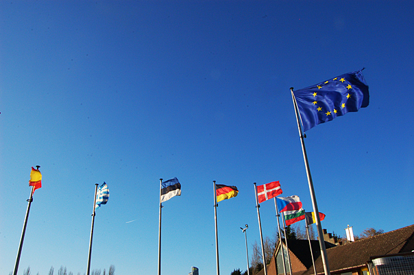 Forholdet mellom Den europeiske unionen og nasjonalstatene i lys av den økonomiske&nbsp;krisa